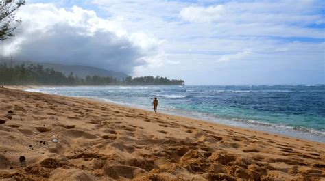 nude beach in oahu|Your Ultimate Guide to the Top 9 Best Nude Beaches on Oahu